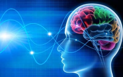 Mechanisms of Neurofeedback: A Computation-theoretic Approach