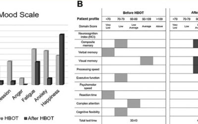 Retrospective Case Series of Traumatic Brain Injury and Post-Traumatic Stress Disorder Treated with Hyperbaric Oxygen Therapy
