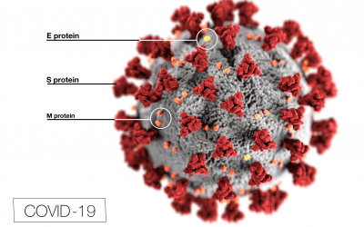 Hyperbaric Application to COVID-19 Pulmonary Infection