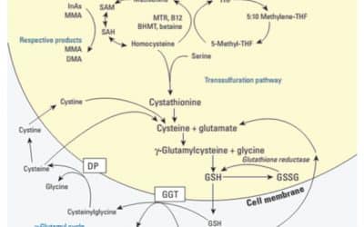 Glutathione!
