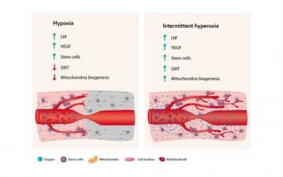 The Hyperoxic-Hypoxic Paradox