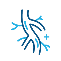 Changes in nerve microcirculation following peripheral nerve compression