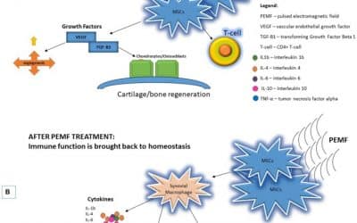 The Use of Pulsed Electromagnetic Field to Modulate Inflammation and Improve Tissue Regeneration: A Review