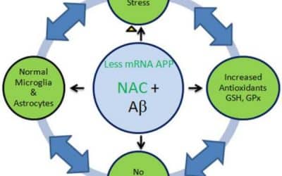 Elevation of glutathione as a therapeutic strategy in Alzheimer disease