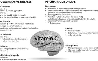 Does Vitamin C Influence Neurodegenerative Diseases and Psychiatric Disorders?