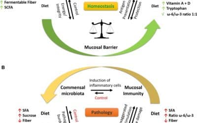 The Impact of Western Diet and Nutrients on the Microbiota and Immune Response at Mucosal Interfaces
