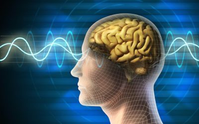 Neurofeedback: Optimize Brain Functioning
